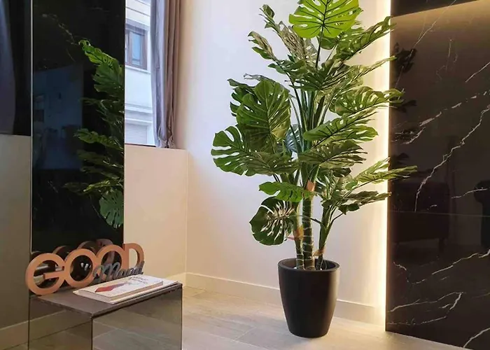 Miluisuites Loft And Catedral. *