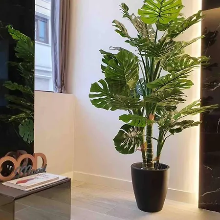 Miluisuites Loft And Catedral. *